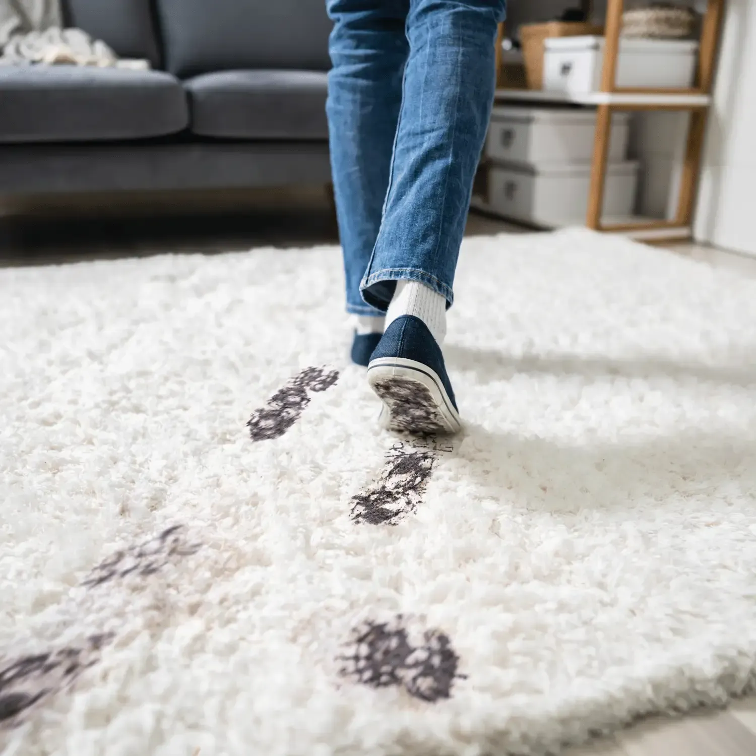 professional residential carpet cleaning Langley Bc