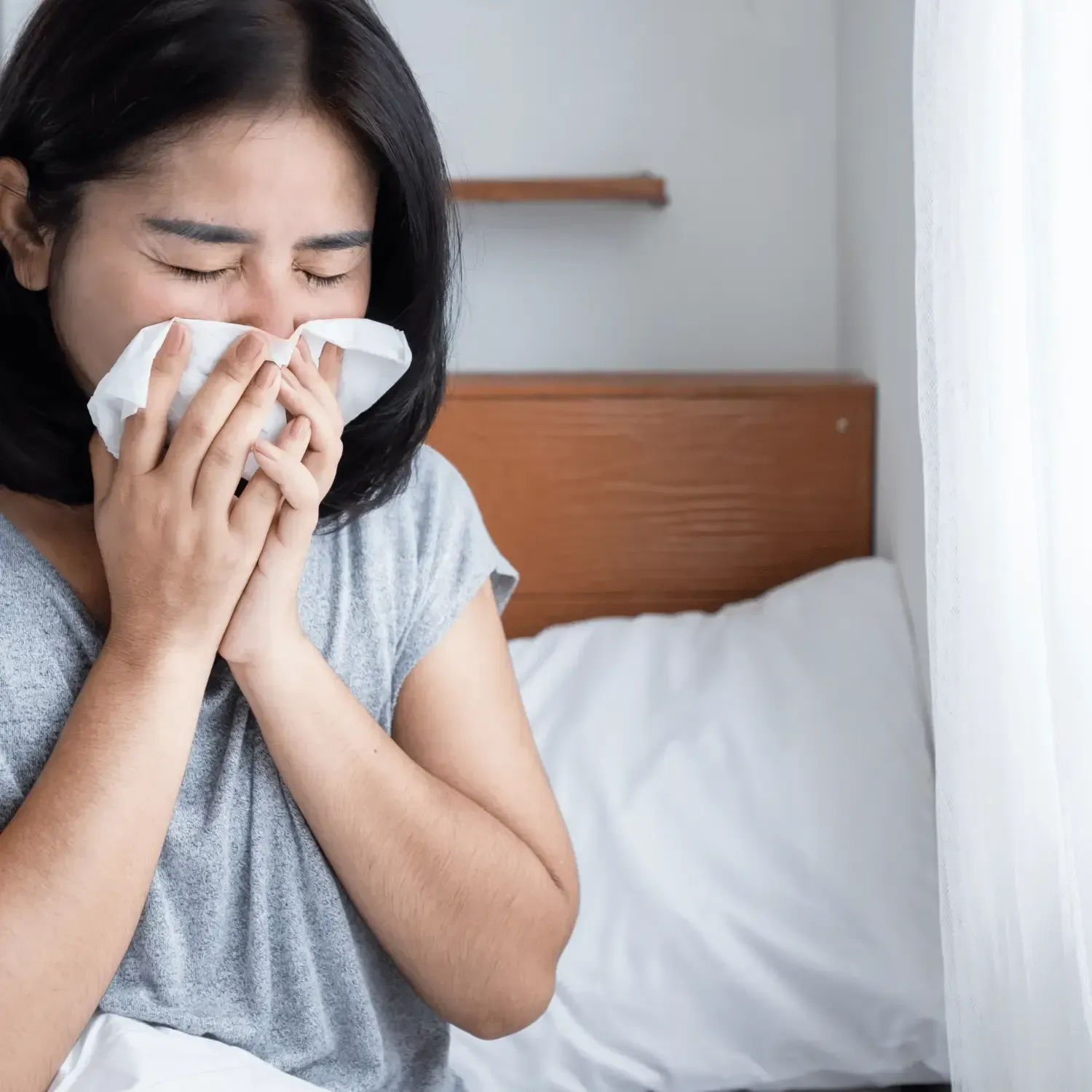 deep steam carpet cleaning removing dust and allergens langley bc