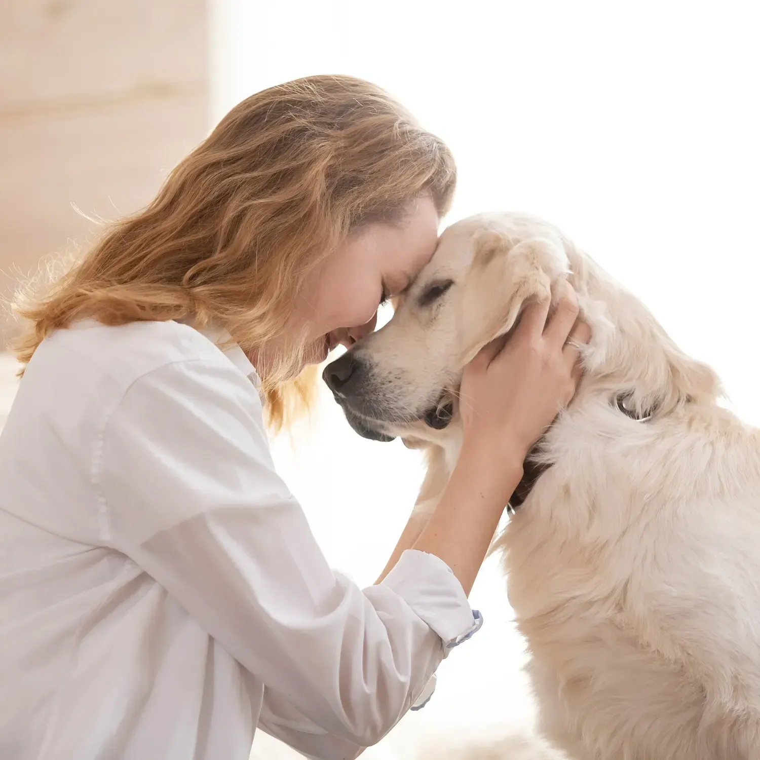 residential carpet cleaning Langley Bc