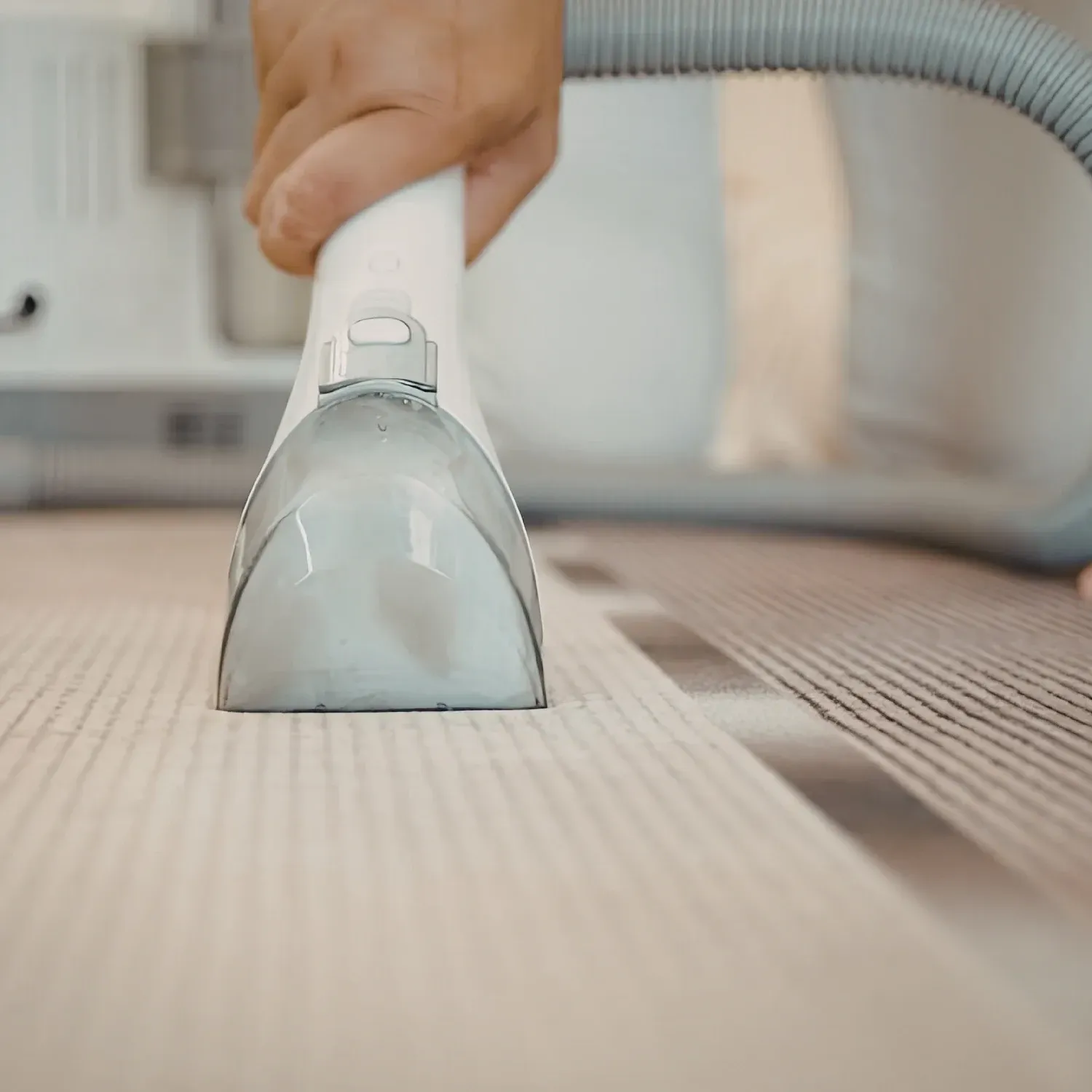 commercial carpet cleaning langley bc